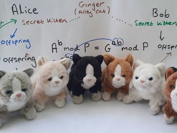 Want to be a better teacher? My daughter showed me we need to play more