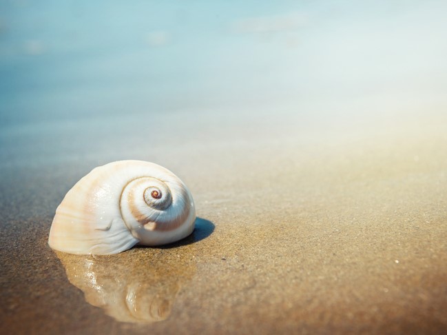 How I stopped worrying and learned to embrace pre-prepared courses