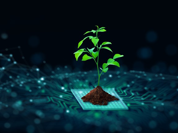 The dos and don’ts of creating a large-scale sustainability module