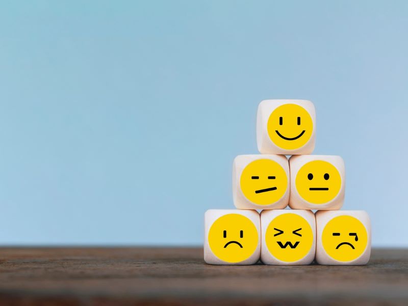 Mind matters: embedding socio-emotional learning in higher education curricula