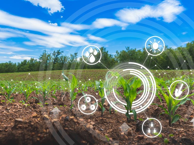 Studying sustainability by applying systems thinking to news stories