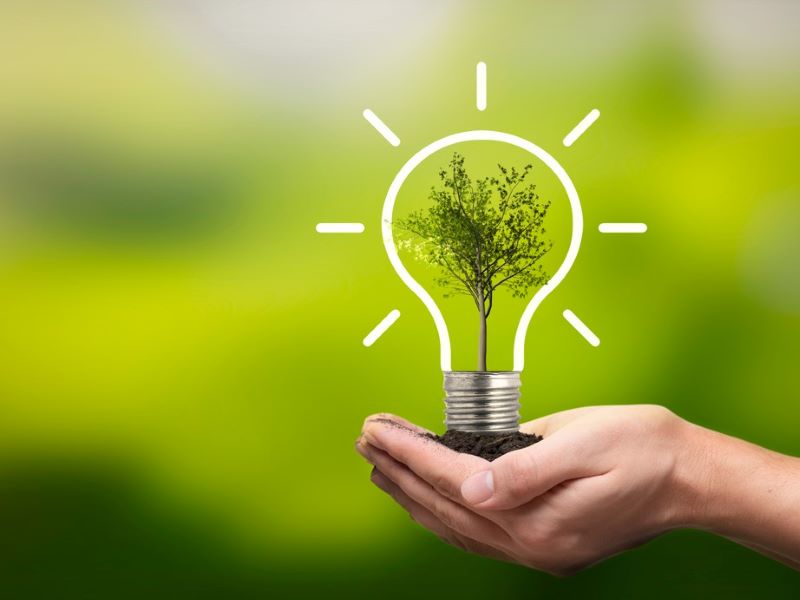 Match sustainability learning outcomes to specific curricula to achieve SDG 4.7