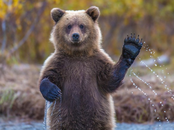 Are you a researcher who’s ready to move away from the bench? Here’s how