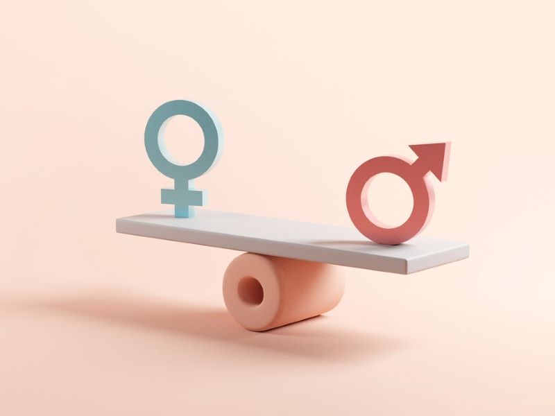 Embedding gender equality: building momentum for change