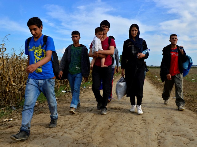 ‘Making it’ in the US: education and employment for Afghan refugees