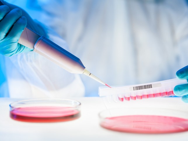 The sector’s role in addressing climate change is crucial – and varied