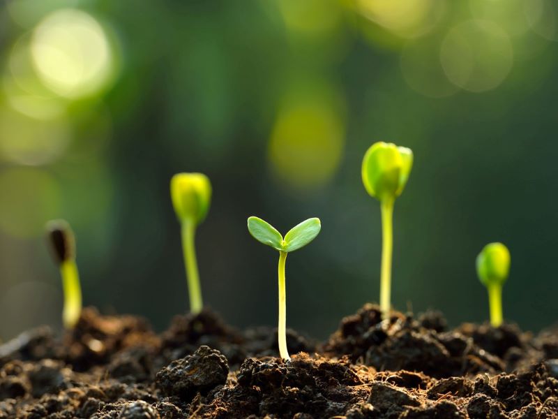 For the common good: why we need ecological universities