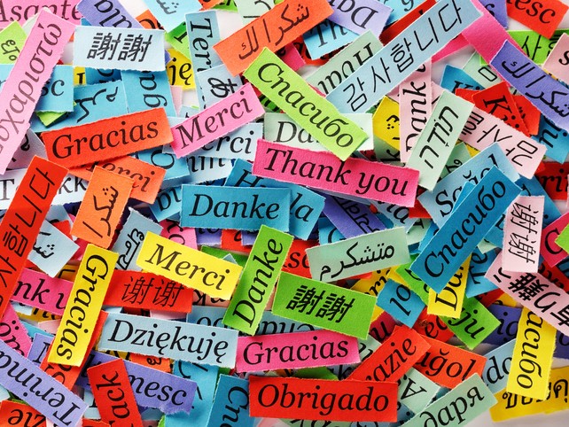 Introducing ‘translanguaging’ – and other ways to promote multilingualism