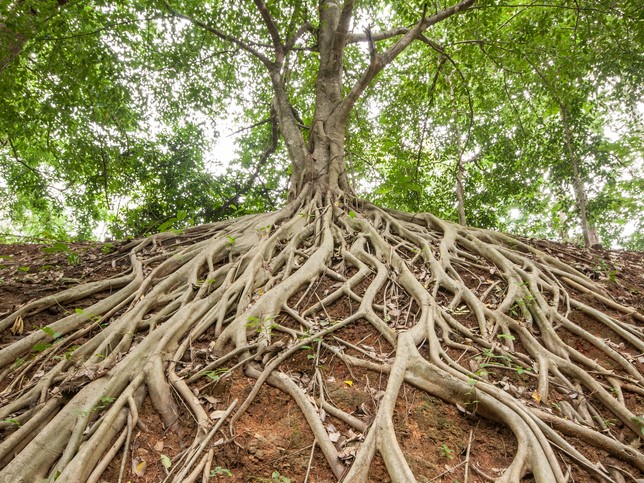 When promoting academic integrity, start at the root of the problem  