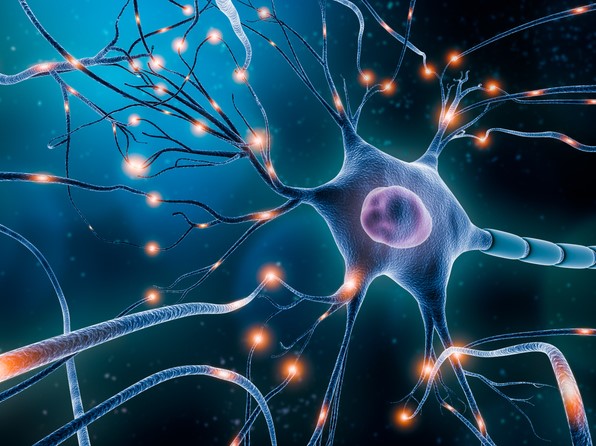 Five ways to use neuroeducation to improve student learning