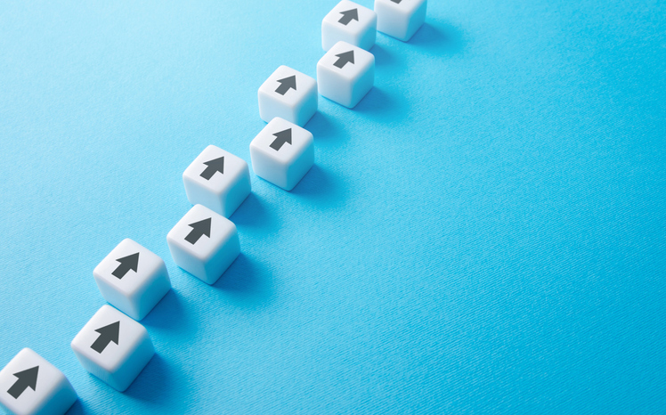 ‘I just wish all lecturers would use the VLE in the same way’