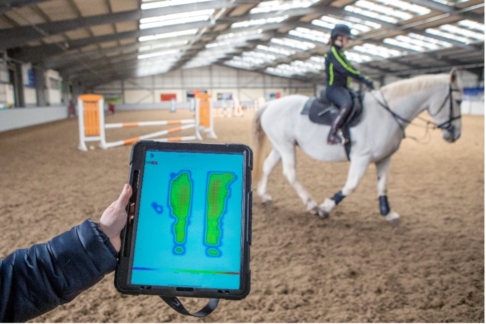 Get off your high horse: using technology to make equine courses more inclusive
