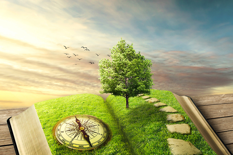 How storytelling boosts environmental impact and engagement