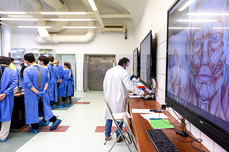 How practical education and talent management support medical students