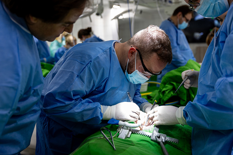 How to train world-champion cardiologists