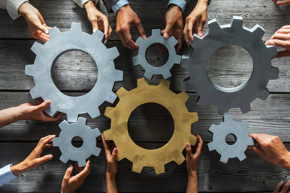 The vital role of a faculty senate in higher education