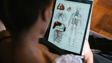 The University of the Future: where does higher education go next?