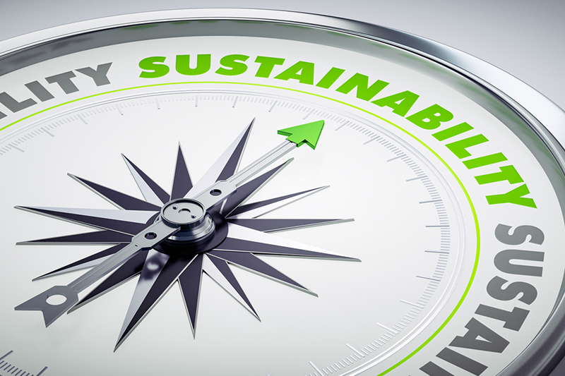 Why visible senior leadership in sustainability matters