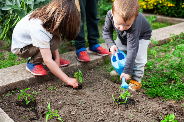 Plant the seeds for a rewarding balance between family and academia