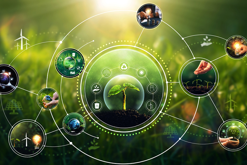 Teaming up with students to design sustainability education