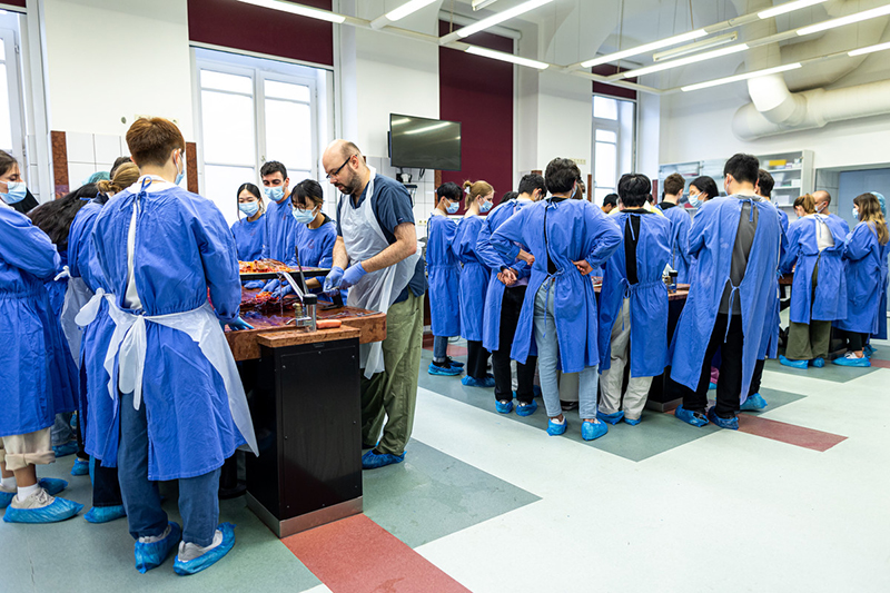 What skills does the 21st-century medical educator need?