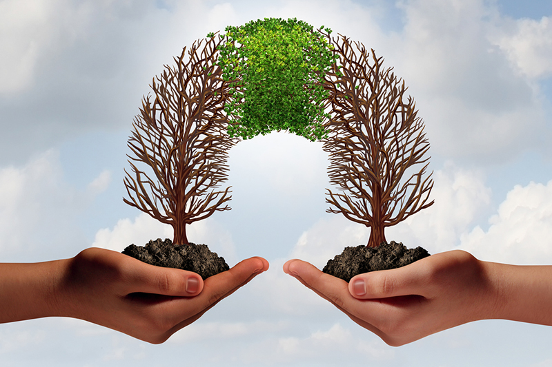 Productive disagreement is our best hope of tackling the climate crisis 