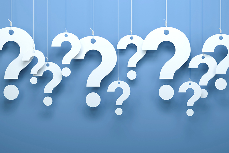 ‘Generic prompts give students autonomy and flexibility to expand their ideas’