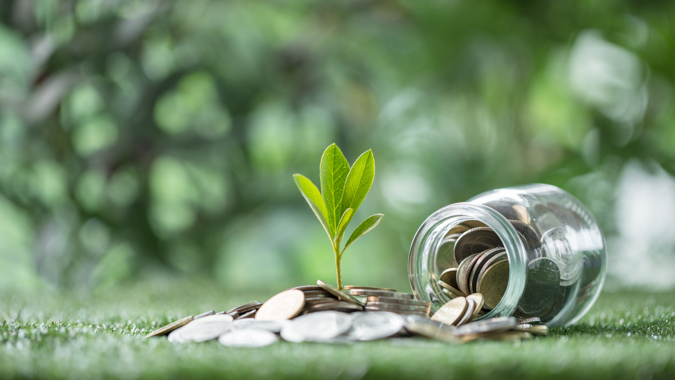 How to make extra money in academia