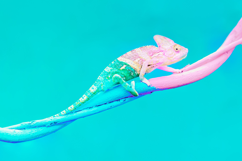 Reshaping assessment to outsmart AI