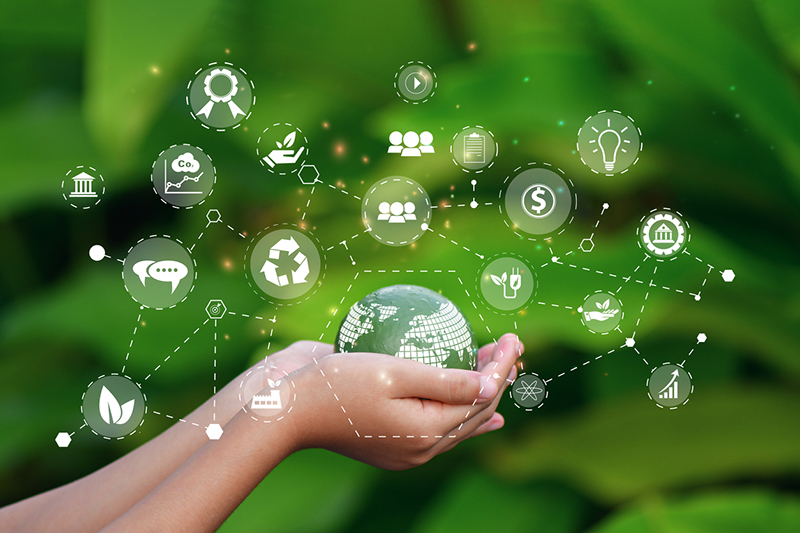 How to succeed as a green leader