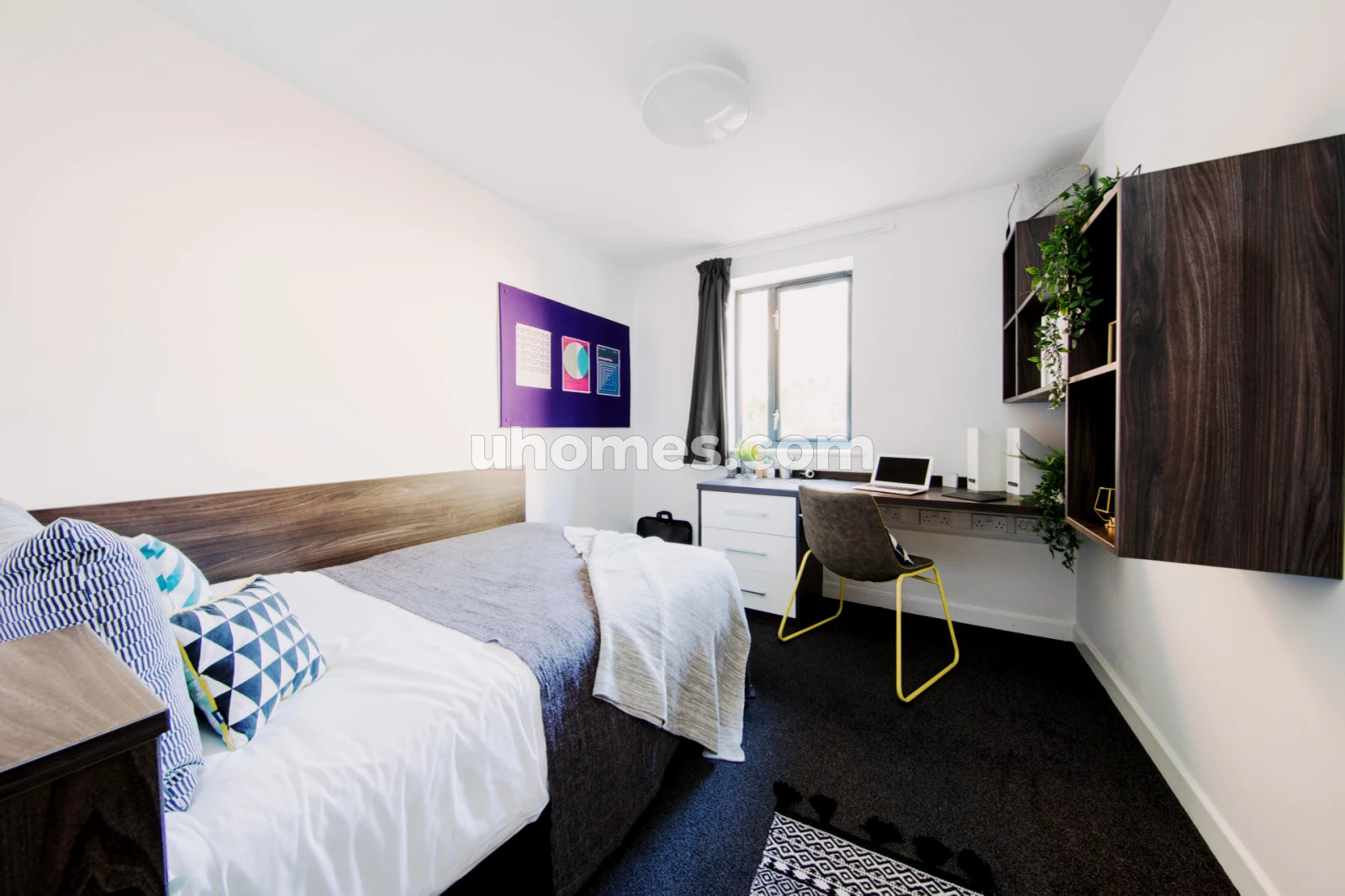 Navigating Student Accommodation: Liverpool vs Manchester vs Glasgow