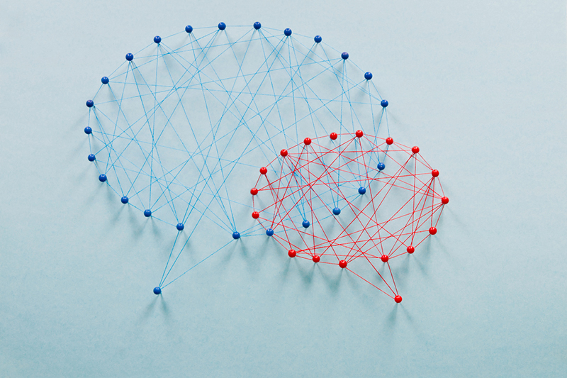 For EDI efforts to be sustainable, universities must evolve their language and practice