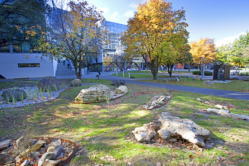 How a campus garden is tackling declining 3D spatial skills in geoscience students 