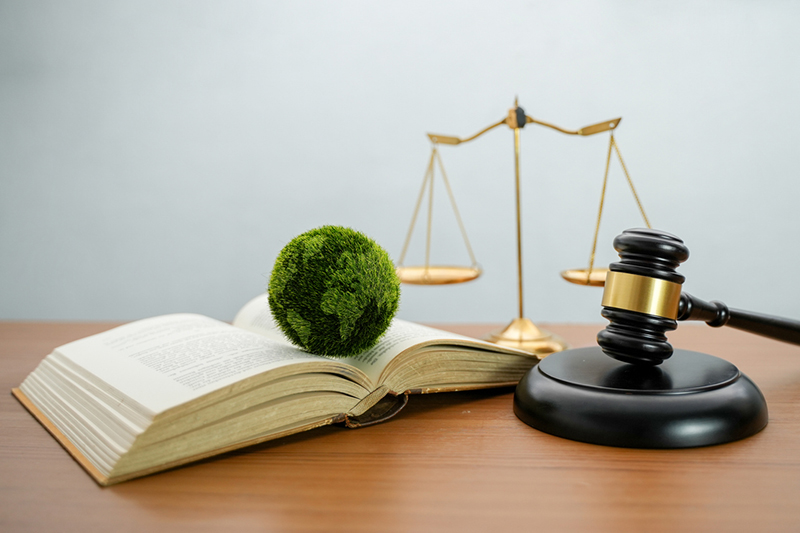 Teaching ethics and sustainability through fiction