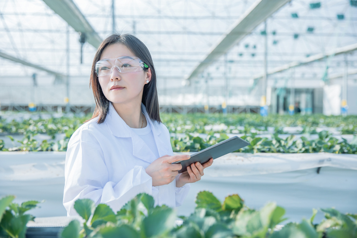 Environmental researchers know the impact of AI – so why do they still use it?