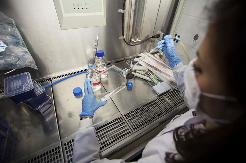 Greener labs don’t need bigger budgets – just better habits