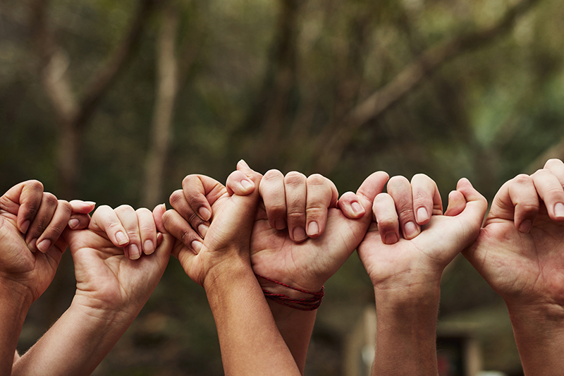 Why a unity lens is crucial in higher education