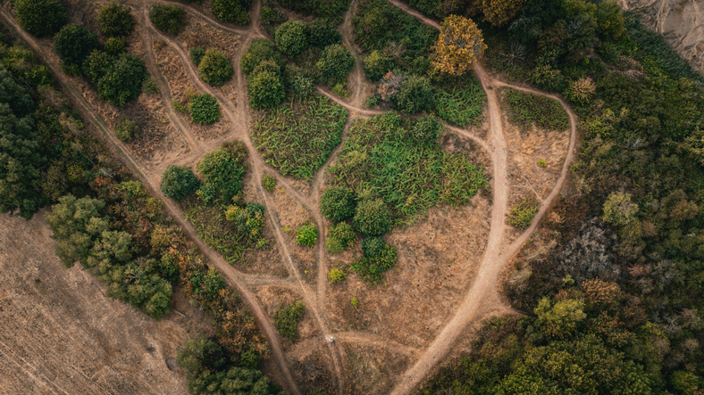 Scholarship is not a linear journey: how to encourage students to ‘drift’ 