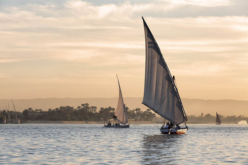 Where the Nile’s waters meet: creating value through interdisciplinarity and collaboration
