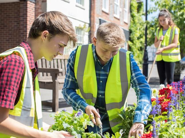 Green gap years can be beneficial for students transitioning to university