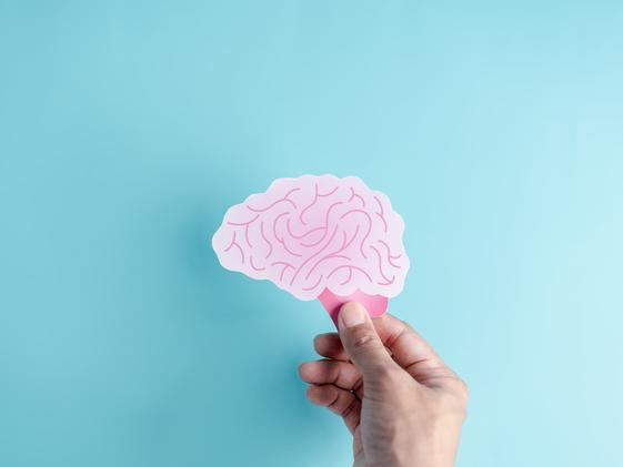 A hand holds a paper cut out of a human brain