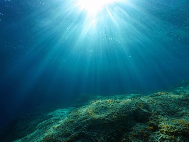 An underwater scene