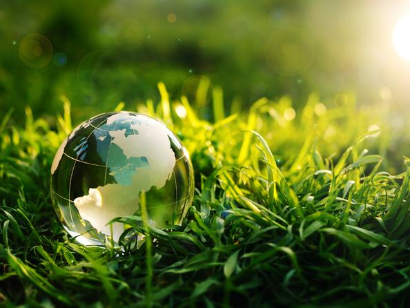 A globe nestles in green grass