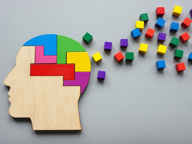 A jigsaw puzzle shaped like a head, brightly coloured blocks emitting from it