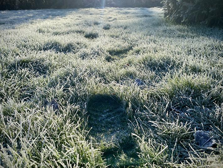 Frosty footprints in grass