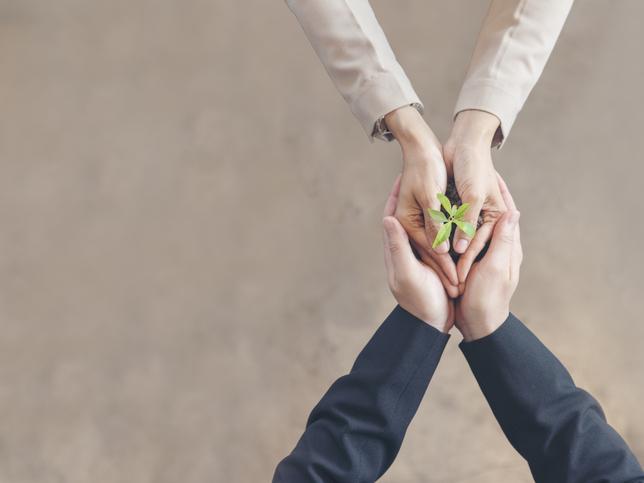 Two people gently hold a tiny sprouting plant