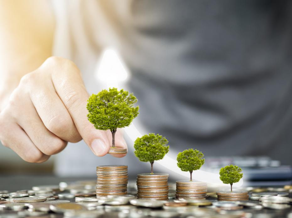 Piles of money with trees growing on top of them