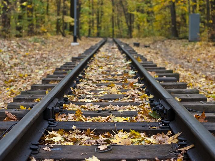 Leaves on railway tracks