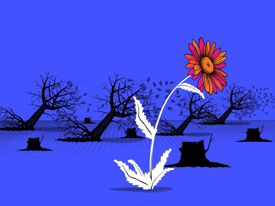 An illustration of a flower amid bare tree branches