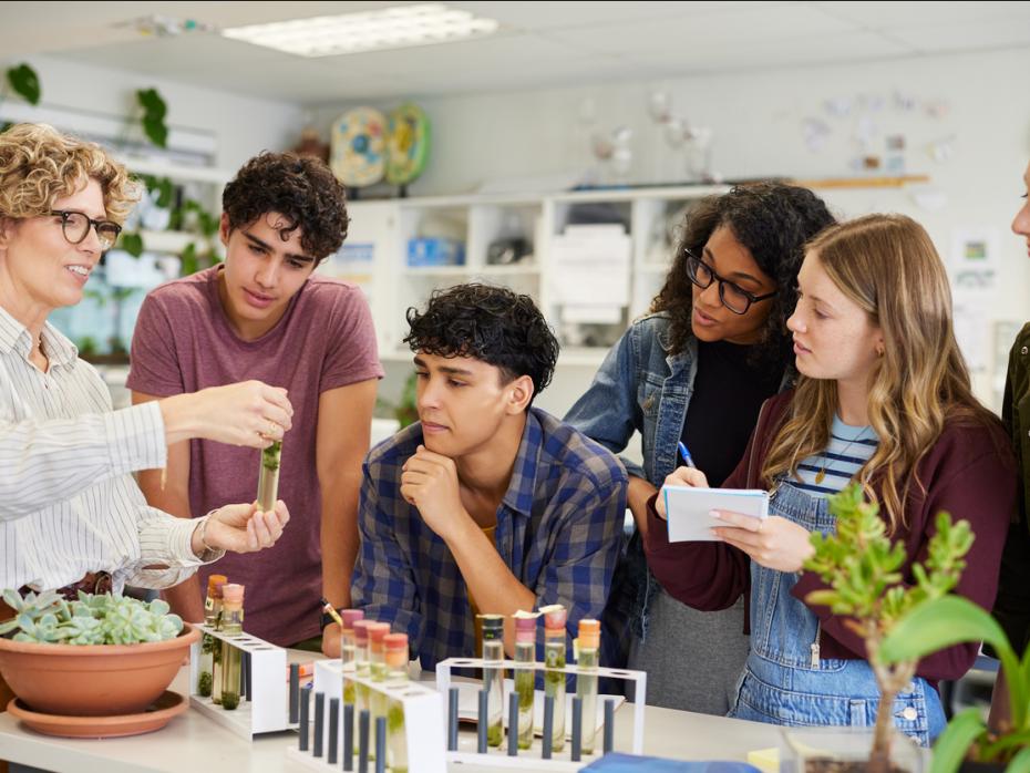 Students working on a project together in class